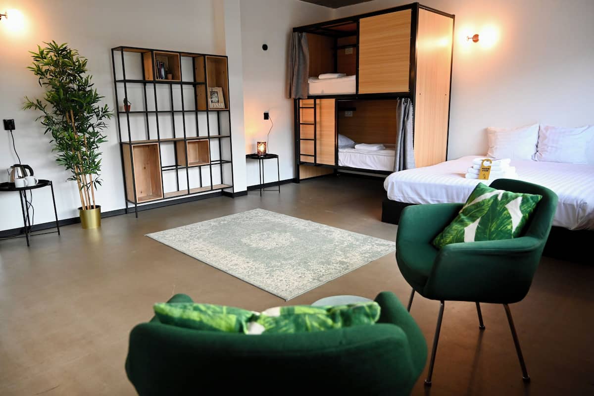 Une chambre d’hôtel moderne avec un lit superposé, un fauteuil vert, une petite table avec une lampe, une bibliothèque et une grande plante en pot.