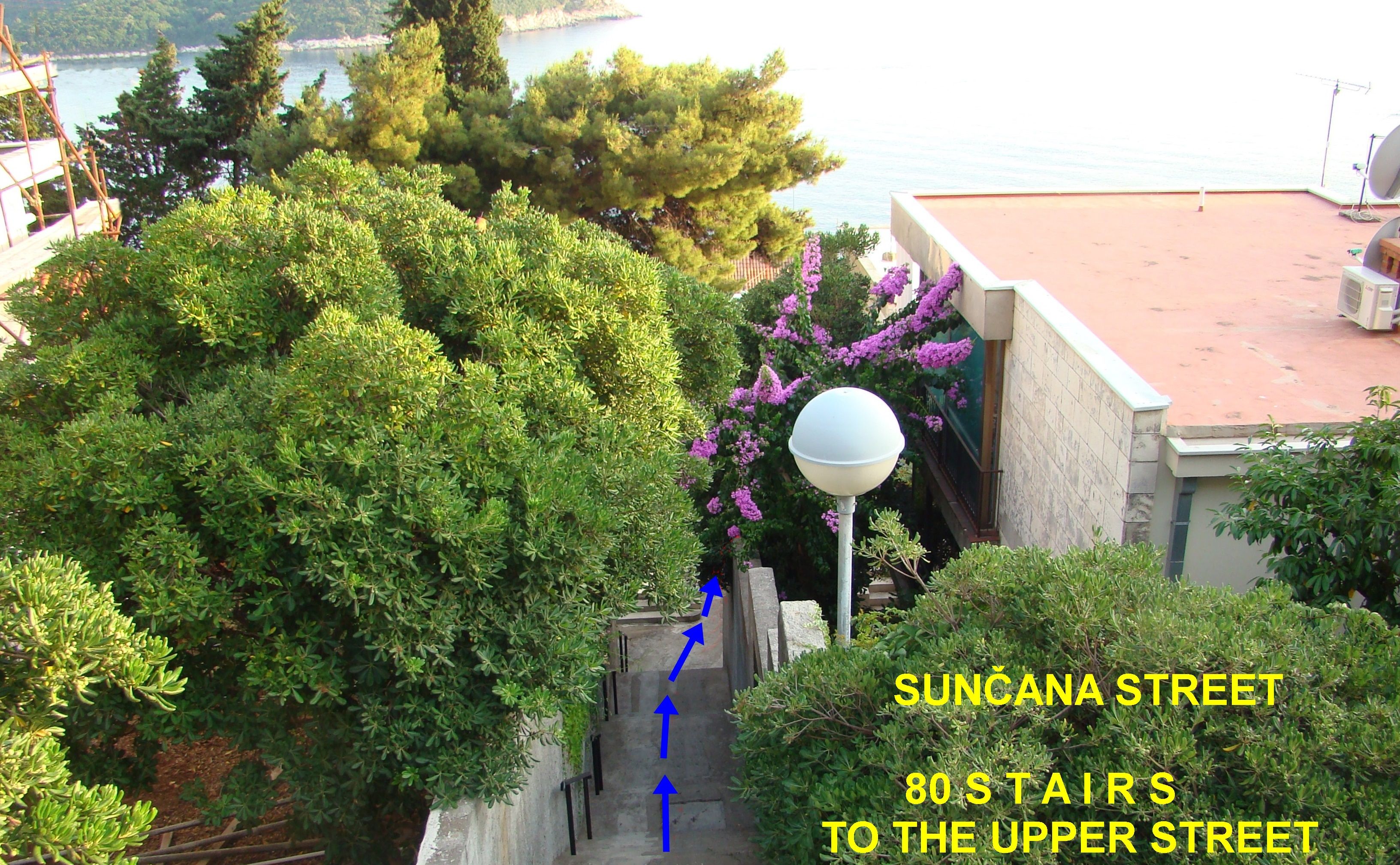 Vista di Via Suncana con 80 gradini che portano alla strada superiore, circondata dal verde e con vista su un corpo d'acqua.