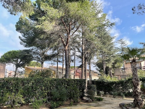 Appartement 5 Personnes Dans la Pinéde , Bord de mer