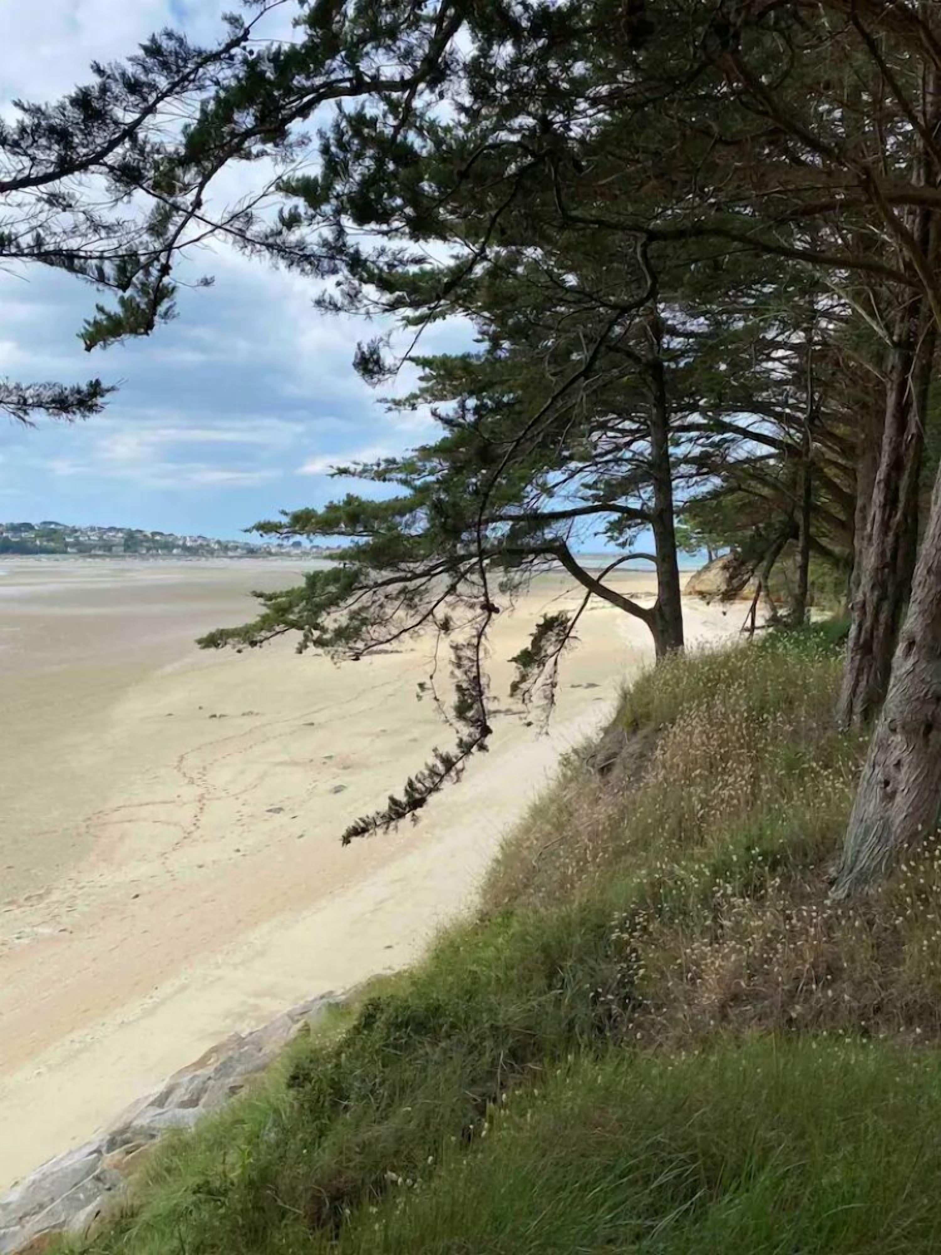 Un paisaje costero con una playa de arena, un acantilado cubierto de hierba y una línea de árboles.