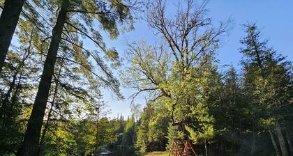 Cozy camping retreat on the banks of the beautiful AuSable River
