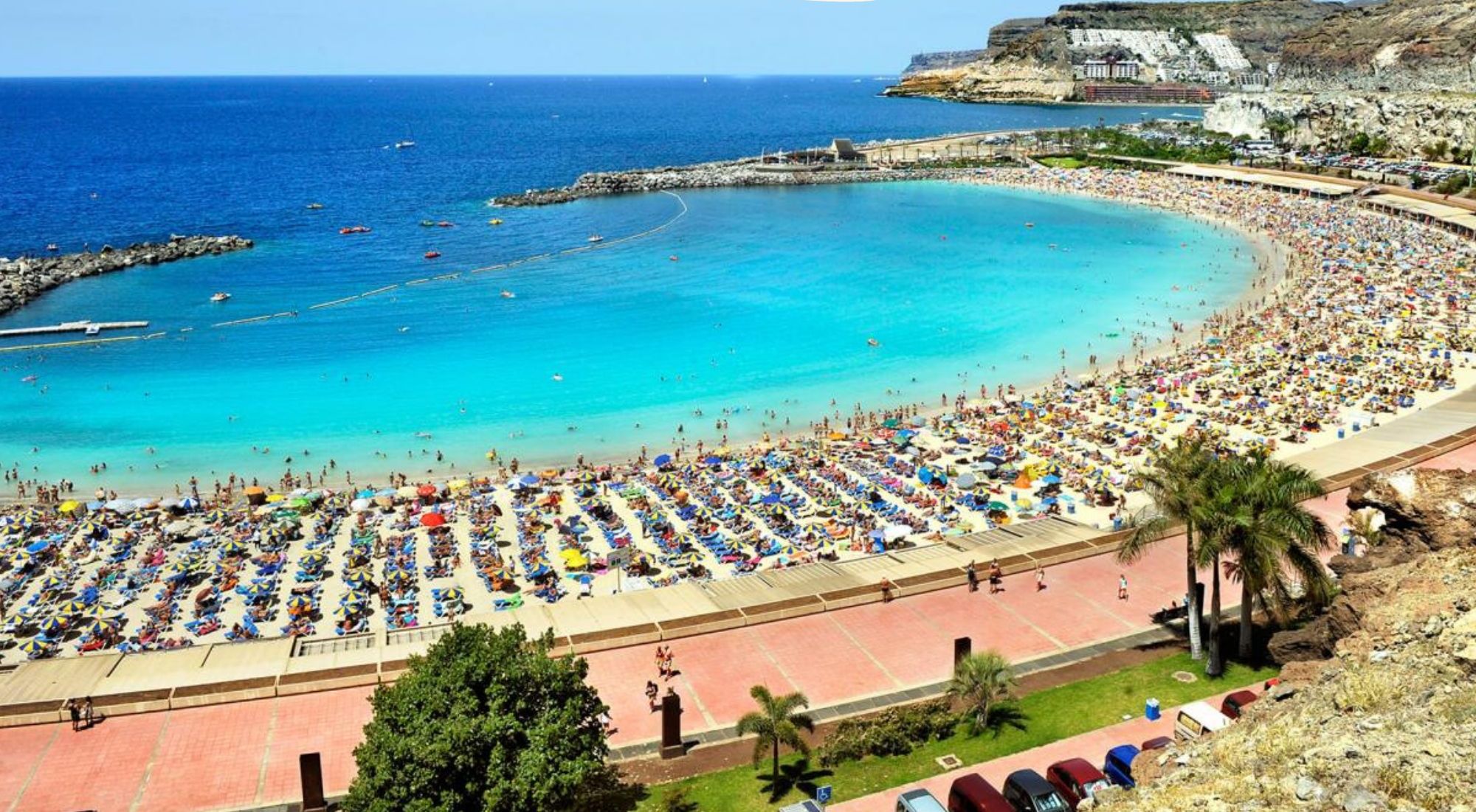 Una playa concurrida con muchos sombrillas y gente disfrutando del sol.
