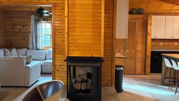 Smart TV, fireplace, books