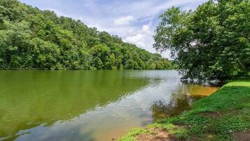 Un lac paisible, entouré d’une forêt verdoyante et dense.