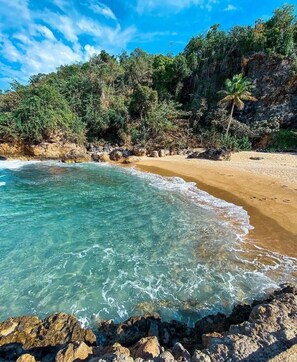 A beach with clear turquoise water, sandy shore, and rocky cliffs with vegetation.