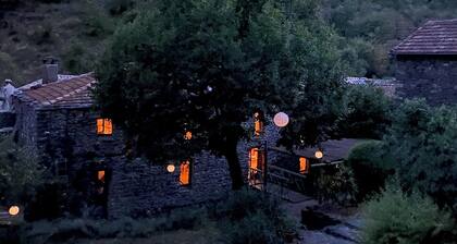 Charming apartment nestled in an old provencal Mas with a pool and jacuzzi.