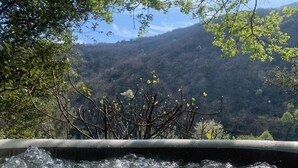Un jacuzzi con vista a una ladera boscosa.