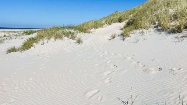A sandy beach with dunes and sparse vegetation. - Düne 77Modern vacation apartment in Westdorf in top location (Baltrum)