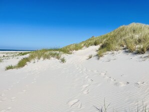 På stranden