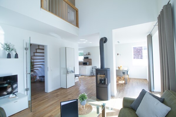 TV, fireplace, books