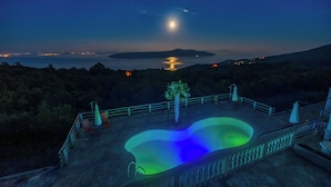 Une piscine à bords incurvés, avec un palmier au centre, entourée d’une terrasse en pierre et d’une rambarde blanche.