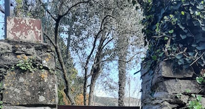 Maison de charme individuelle dans un écrin de verdure
