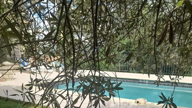 A pool area with a white lounge chair, surrounded by greenery and a clear blue pool.