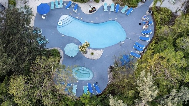 An aerial view of a swimming pool with lounge chairs and umbrellas, surrounded by trees and greenery. - Penthouse in Paradise! (Key West)