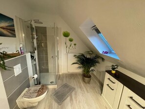 Shower, hair dryer, towels, soap