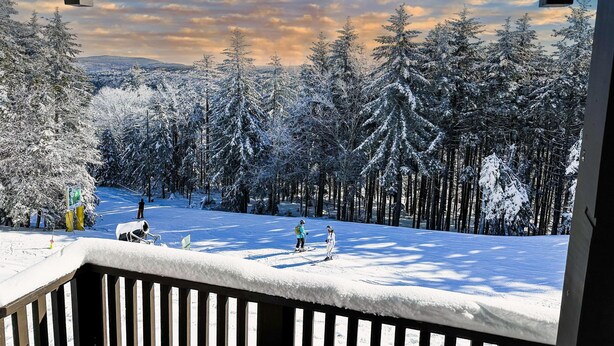 Schneegebirgslage mit Blick auf einen Wald und einer Person beim Skifahren.