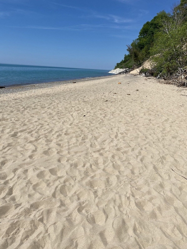 Lettini da mare