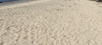 Pet Friendly! Summer home near the beaches of South Haven, and Saugatuck