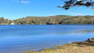 A calm lake with a grassy shore and trees in the background.
