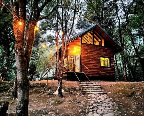 magic cabin