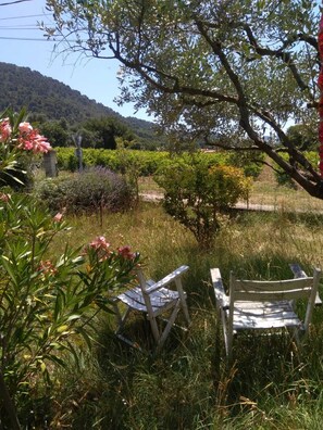 Property grounds - Maison Familiale Dans les Vignes (Seguret)