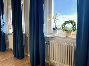 Superior Apartment | View from room