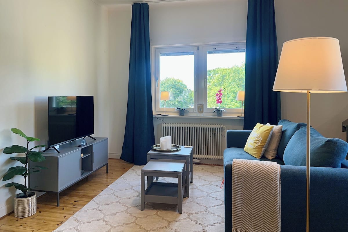 Deluxe Apartment | Television
