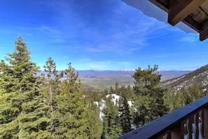 Property grounds - Mile High Mountain - Carson Valley Views (Stateline)