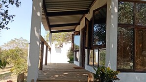 Un patio in legno coperto con una panchina, una pianta in vaso e vista sul giardino e gli alberi circostanti.