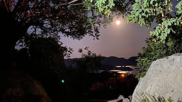 Ngoại thất