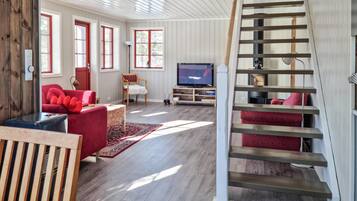 Televisión y chimenea