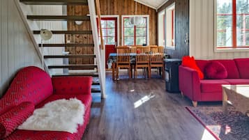 Televisión y chimenea