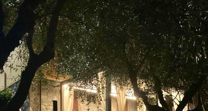 Ca' Degli Olivi relax Lunigiana one private house with jacuzzi near Cinque Terre