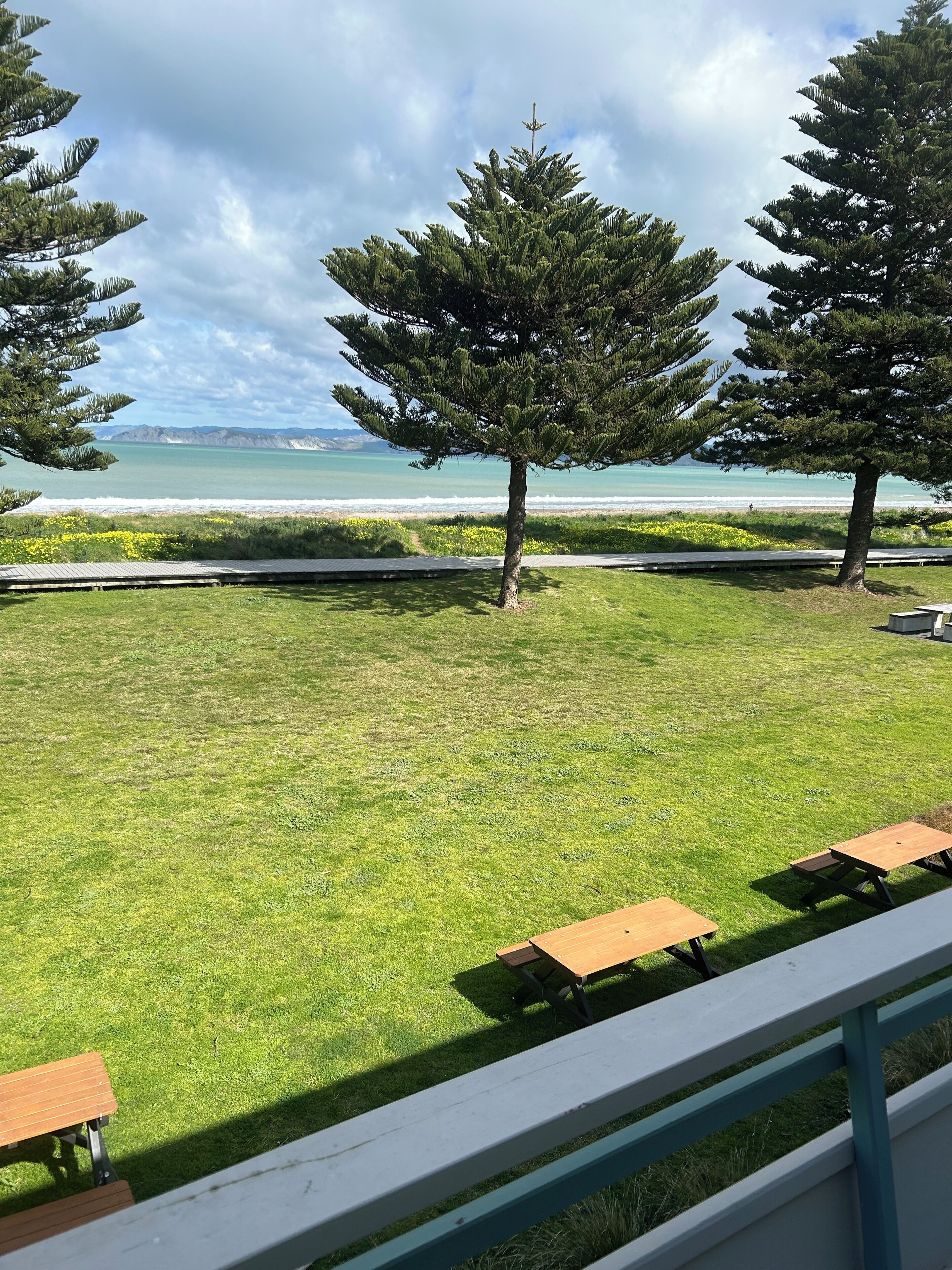 A grassy area with picnic tables and a view of the beach and ocean.