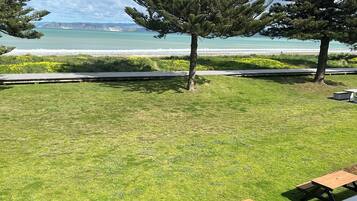 A grassy area with picnic tables and a view of the beach and ocean.