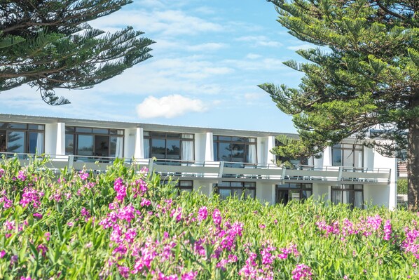 A modern building with large windows and a balcony, surrounded by lush greenery and vibrant pink flowers. - Whispering Sands Motel (Gisborne)