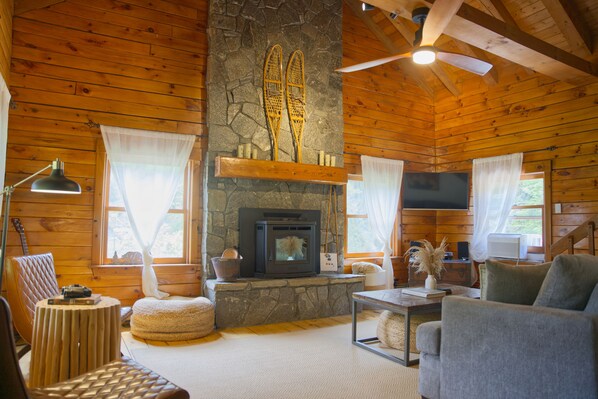 Smart TV, fireplace, video games, music library