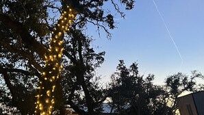 Un árbol decorado con luces, un edificio con tejado inclinado y un cielo despejado.