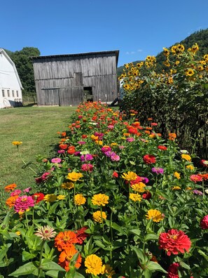 Àrea exterior de l'allotjament