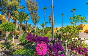 Property grounds - Palmira Sea View and Lobos Island Corralejo (Corralejo)