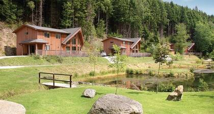1 chambres Ă coucher Ă Llangollen