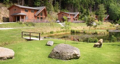 Alojamiento de 1 habitaciones en Llangollen