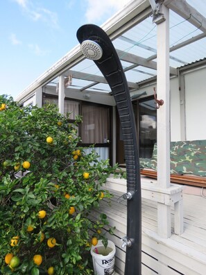 Un espacio exterior techado con estructura metálica, un arbusto con frutos amarillos y un cubo blanco con la etiqueta 'Resen'.