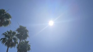 A clear sky with palm trees and a sun. - Great Palm Springs Oasis 2 miles from downtown! (Palm Springs)