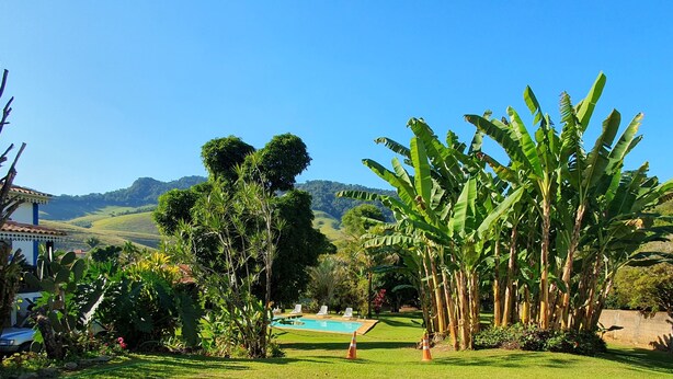 A lush garden with a swimming pool, banana trees, and a view of rolling hills in the background.