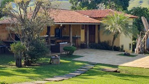 A house with a tiled roof, a patio with a stone pathway, and a small garden with a palm tree.
