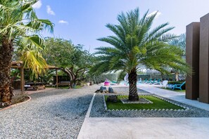 Un complexe hôtelier tropical doté d’un palmier, d’une piscine et de chaises longues.