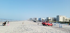 On the beach - Contemporary Beachside Condo (Daytona Beach)