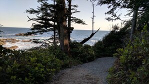A gravel path leading to a coastal area with trees and the ocean in the background. - *Getaway Private Suite "El Faro" (Ucluelet)