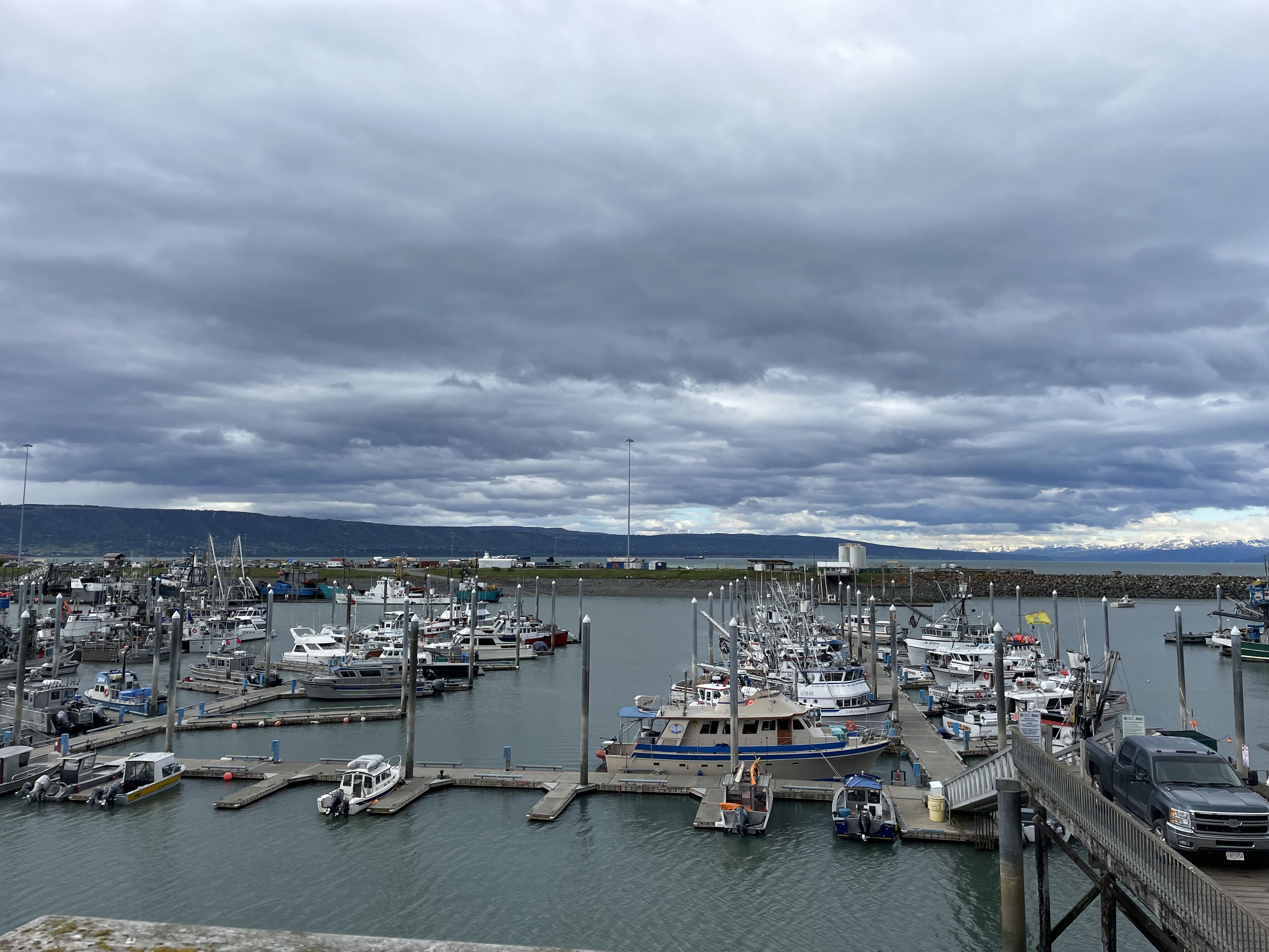 A marina with multiple boats docked at various piers, a bridge leading to the dock, and a mountainous landscape in the background.